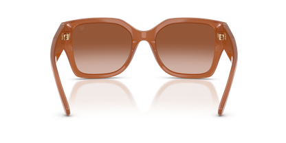 RALPH LAUREN RL8230U 624413 54