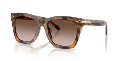 RALPH LAUREN RL8235U 608913 54