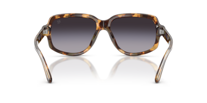 RALPH LAUREN RL8238U 61788G 57