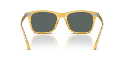 RALPH LAUREN RL8242U 50053R 54