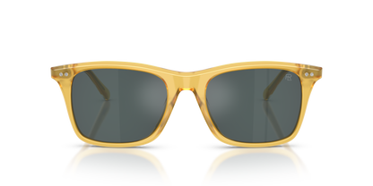 RALPH LAUREN RL8242U 50053R 54