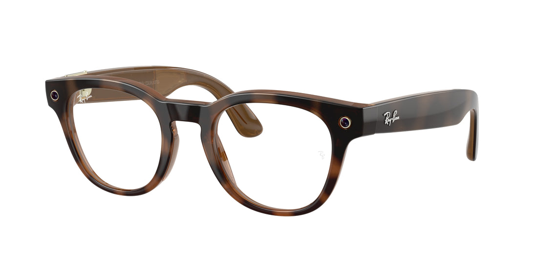 Lunettes de vue ray-ban meta rw7002 scriber optics 8528 carey pantos unisex taille 49mm - Vue principale