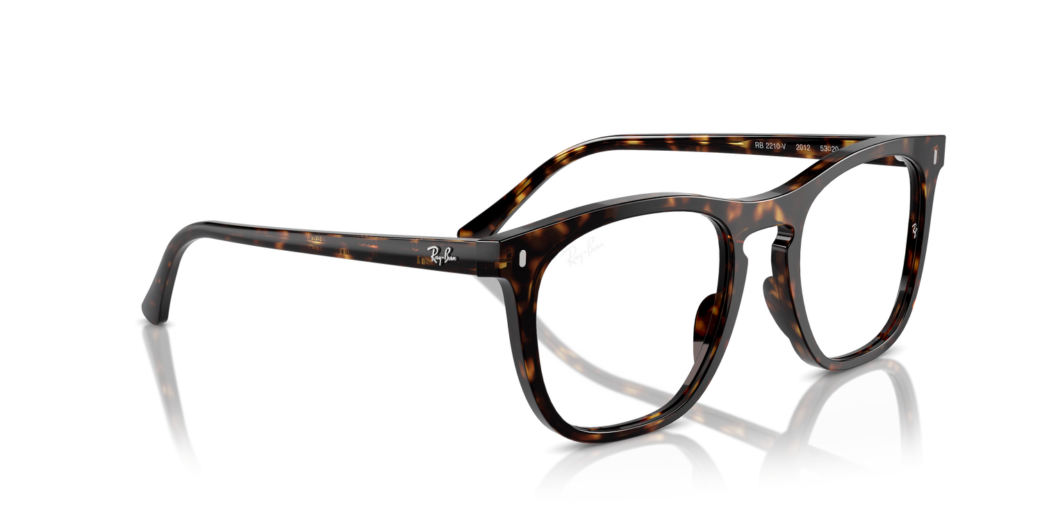 RAY-BAN RX2210V 2012 53
