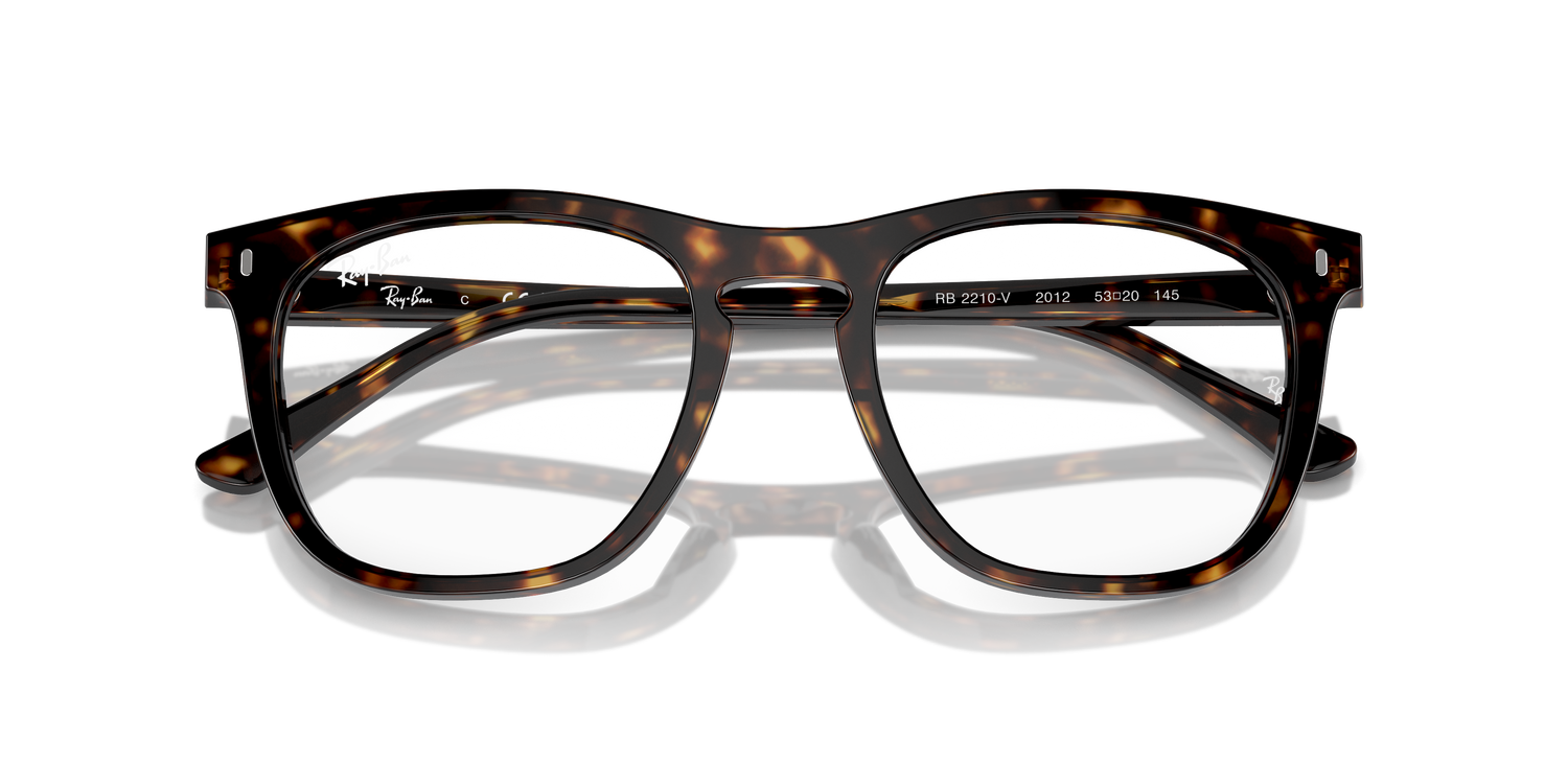 RAY-BAN RX2210V 2012 53