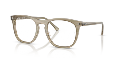 RAY-BAN RX2210V 8381 53