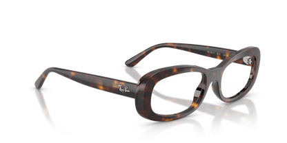 RAY-BAN RX2221V 2012 53