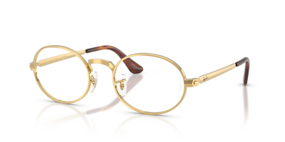 RAY-BAN RX3931V 2500 52