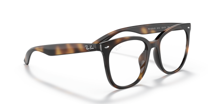 RAY-BAN RX4379VD 2012 53 - 22