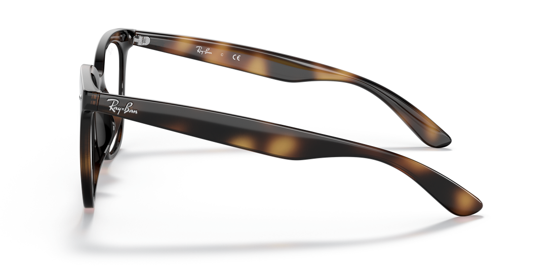 RAY-BAN RX4379VD 2012 53 - 20