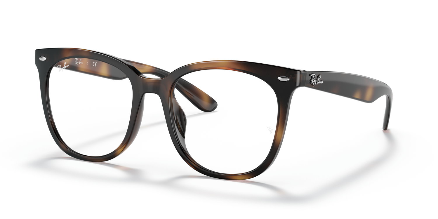 RAY-BAN RX4379VD 2012 53 - 1