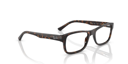 RAY-BAN RX5268 2012 50