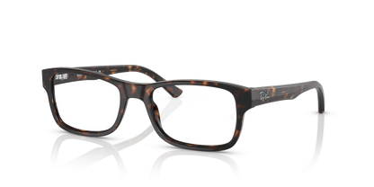 RAY-BAN RX5268 2012 55
