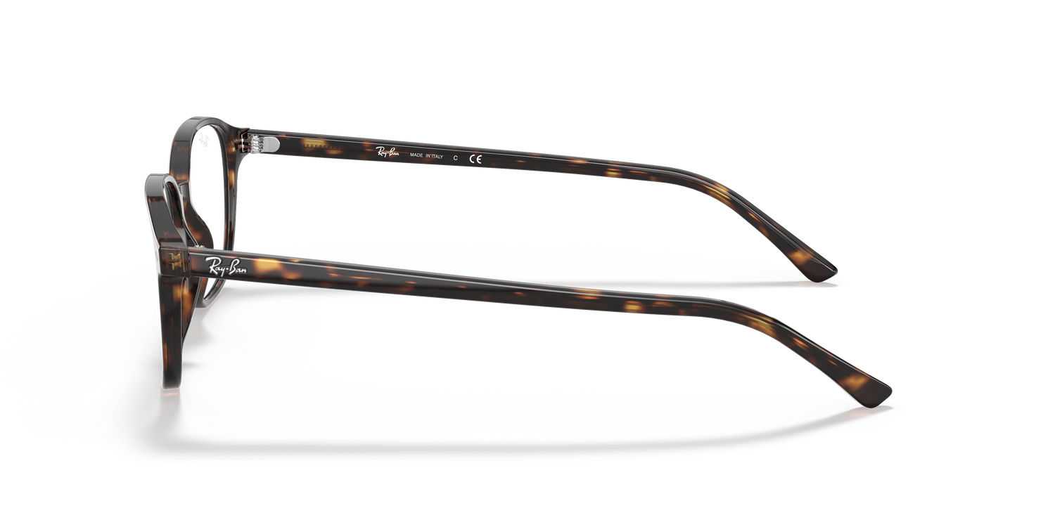 RAY-BAN RX5393 LEONARD 2012 49