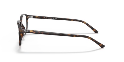 RAY-BAN RX5393 LEONARD 2012 49