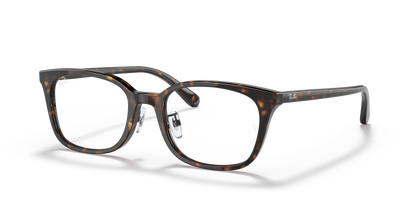 RAY-BAN RX5407D 2012 52