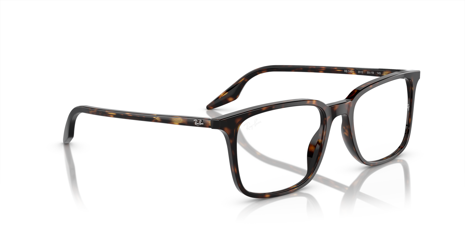 RAY-BAN RX5421 2012 53