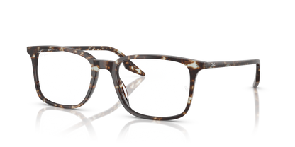 RAY-BAN RX5421 8425 55