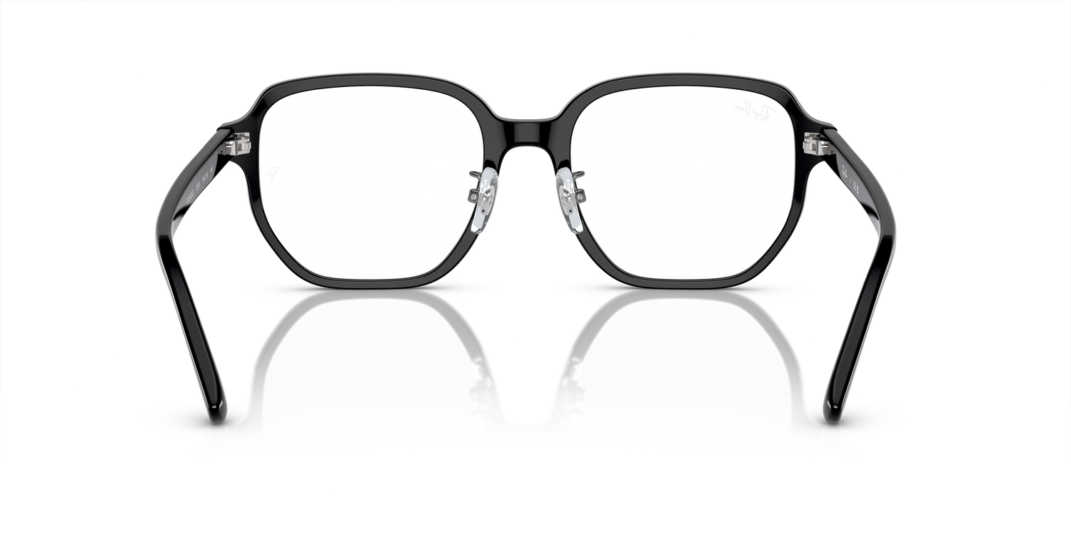 RAY-BAN RX5424D 2000 54