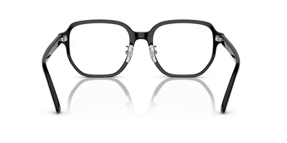 RAY-BAN RX5424D 2000 54