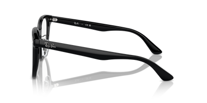 RAY-BAN RX5425D 2000 54