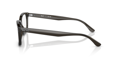 RAY-BAN RX5428 8299 55