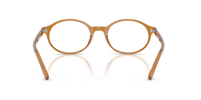 RAY-BAN RX5429 GERMAN 8439 51