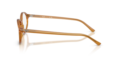 RAY-BAN RX5429 GERMAN 8439 53