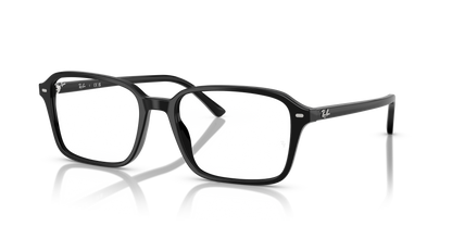 RAY-BAN RX5431 RAIMOND 2000 54