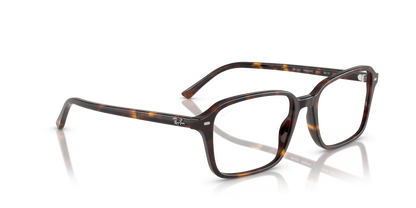 RAY-BAN RX5431 RAIMOND 2012 54