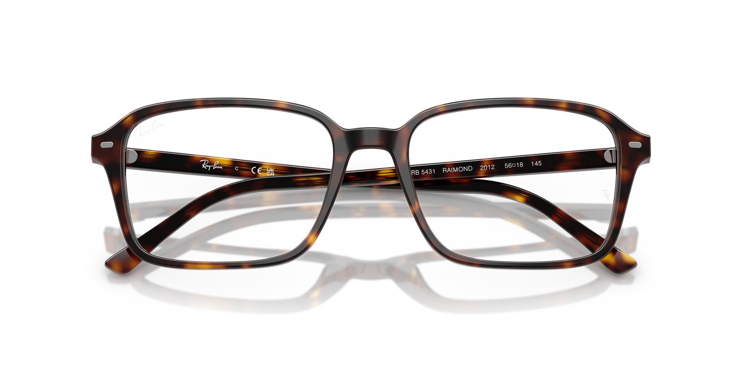 RAY-BAN RX5431 RAIMOND 2012 54