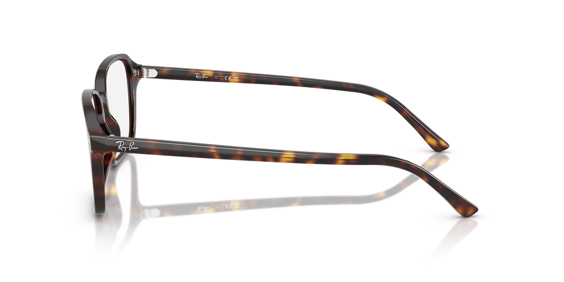 Gafas graduadas ray-ban rx5431 raimond 2012 carey square . talla 54mm - Vista de detalle