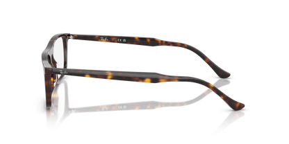 RAY-BAN RX5440 2012 55
