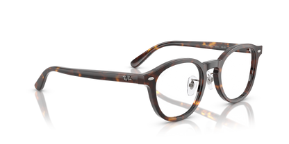 RAY-BAN RX5443D 2012 49