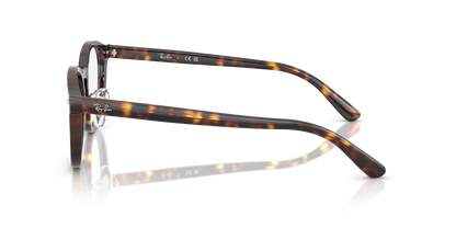 RAY-BAN RX5443D 2012 49