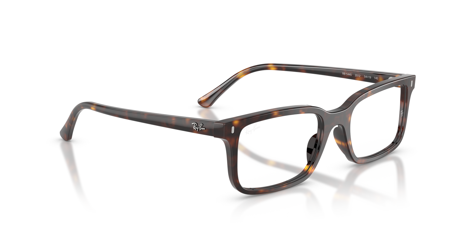 RAY-BAN RX5445 2012 54