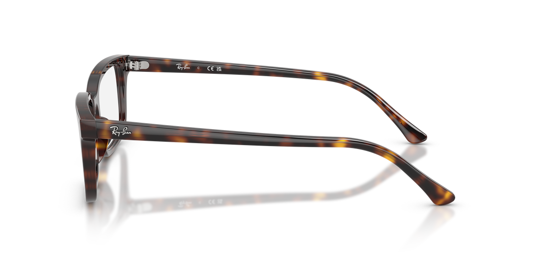 RAY-BAN RX5445 2012 54