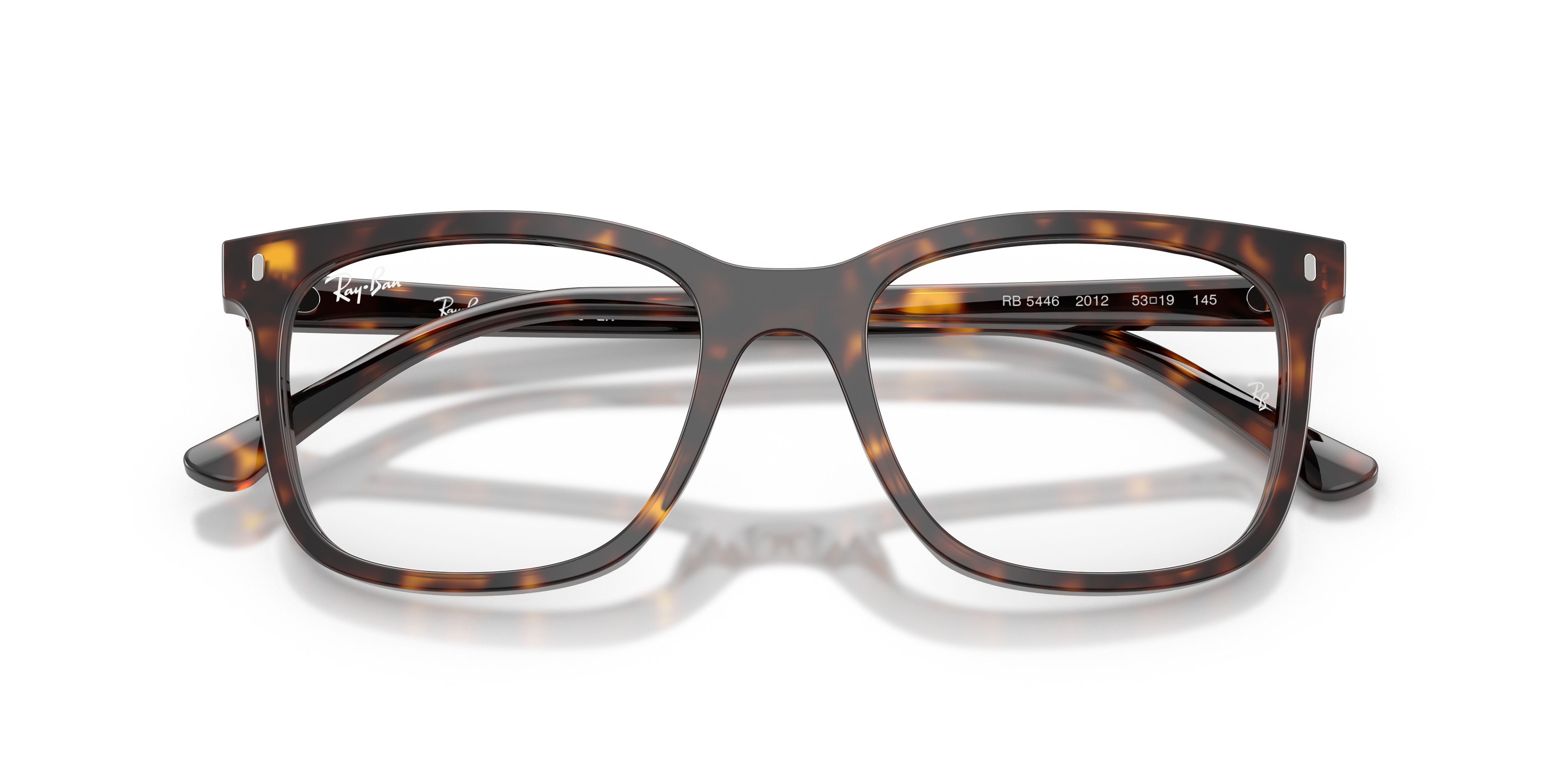 RAY-BAN RX5446 2012 51