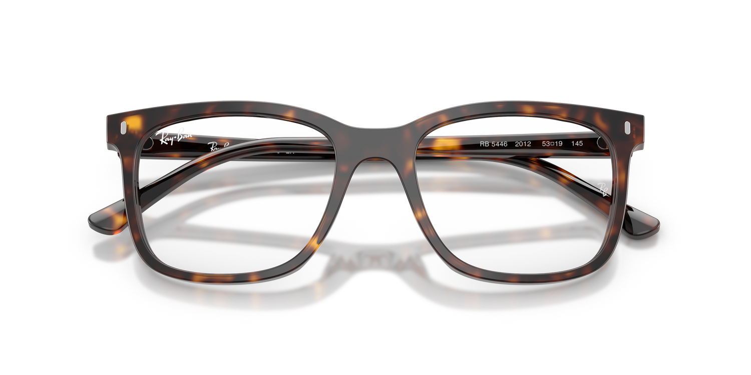 RAY-BAN RX5446 2012 53