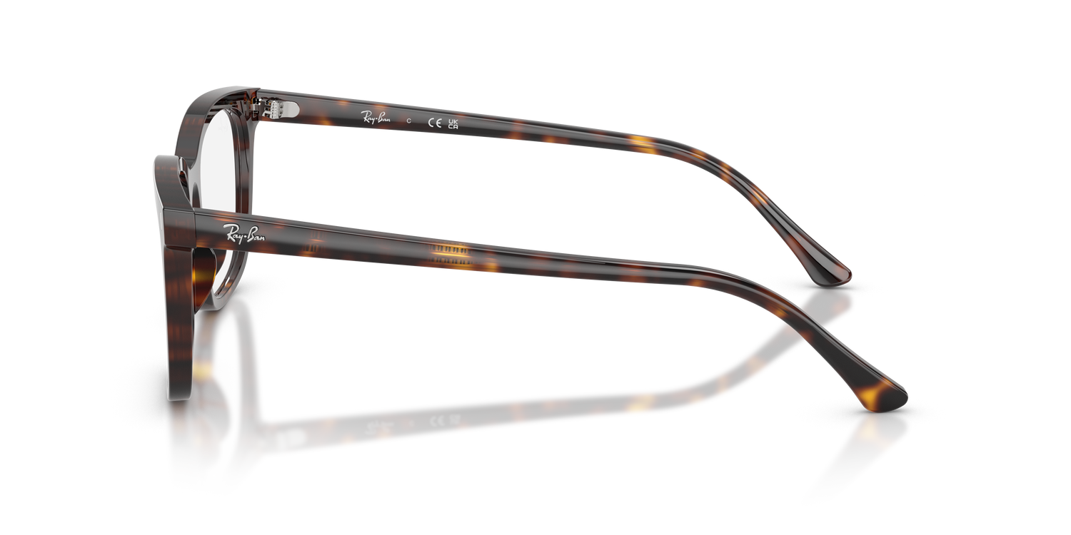 RAY-BAN RX5446 2012 51