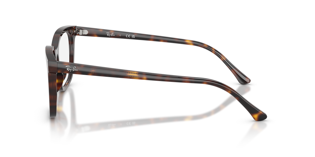 RAY-BAN RX5446 2012 51