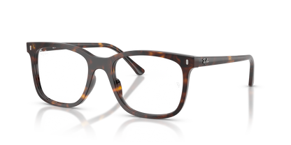RAY-BAN RX5446 2012 53