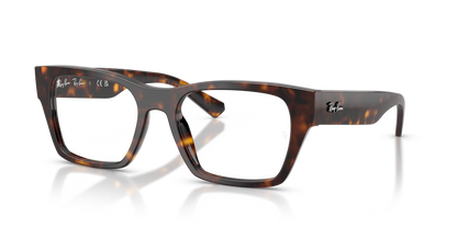RAY-BAN RX5448 2012 55