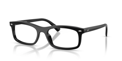 RAY-BAN RX5450 2000 54