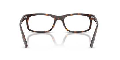 RAY-BAN RX5450 2012 54