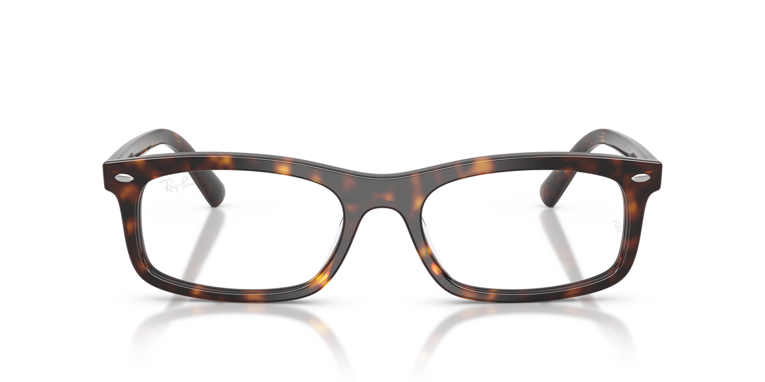 RAY-BAN RX5450 2012 54