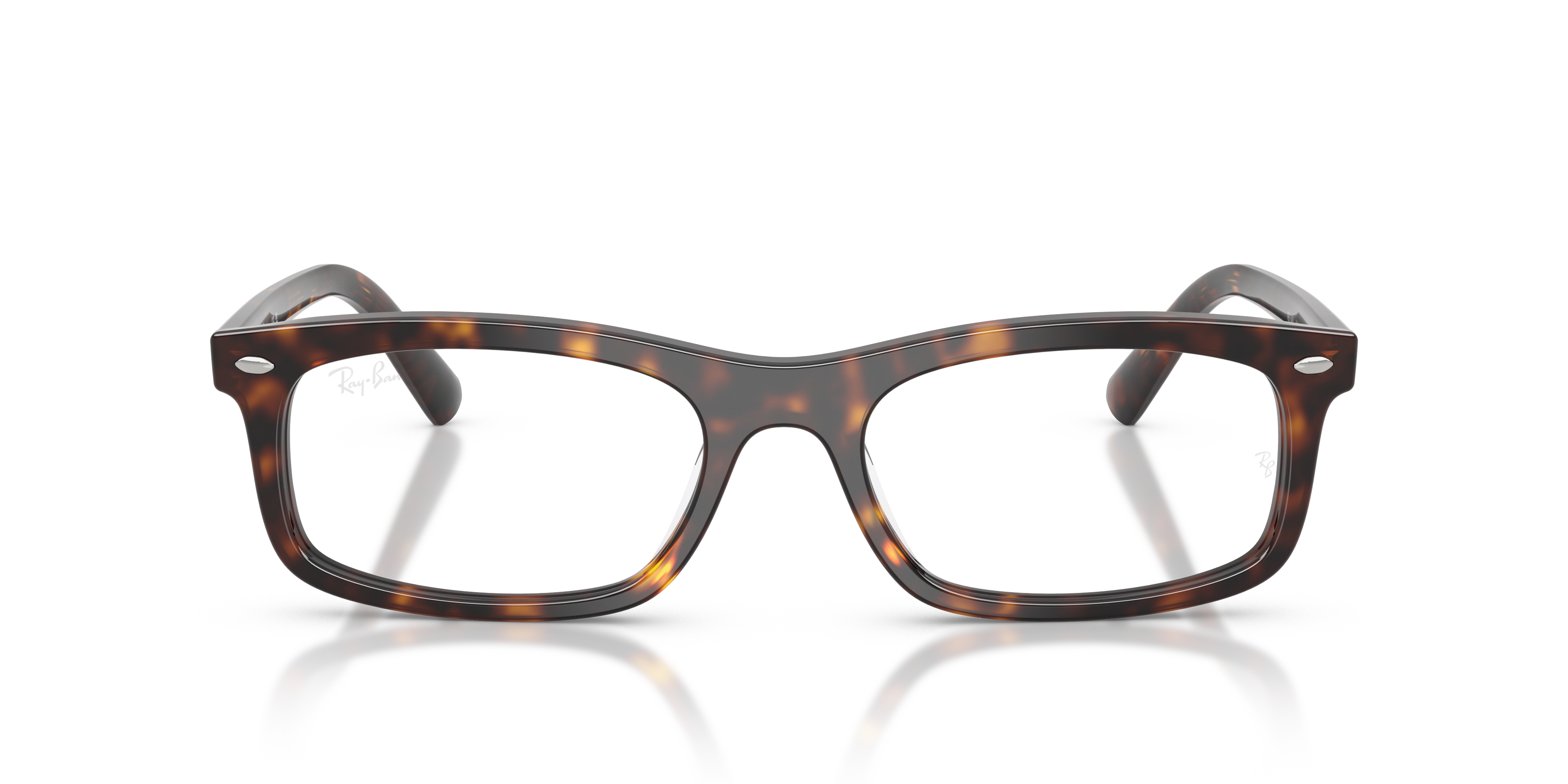 RAY-BAN RX5450 2012 54