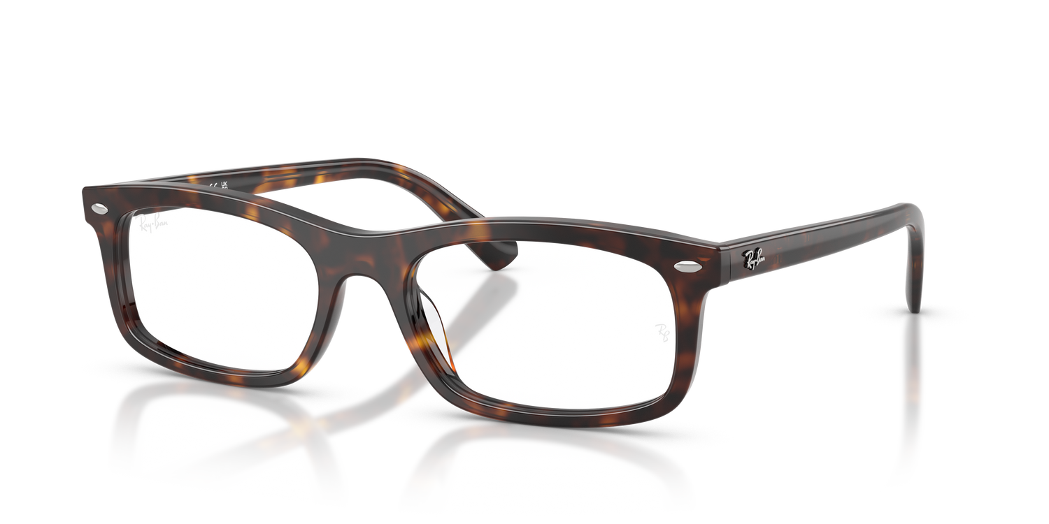 RAY-BAN RX5450 2012 54