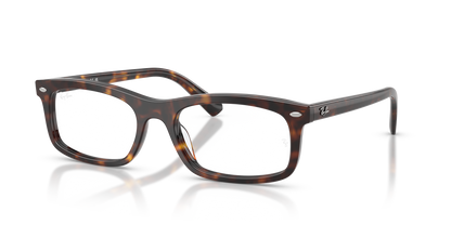 RAY-BAN RX5450 2012 54