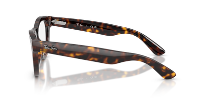 RAY-BAN RX5510 2012 50