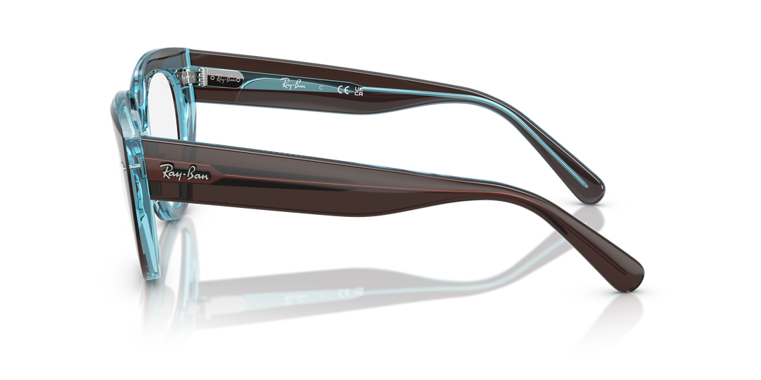 RAY-BAN RX5586 DOREEN 8366 48